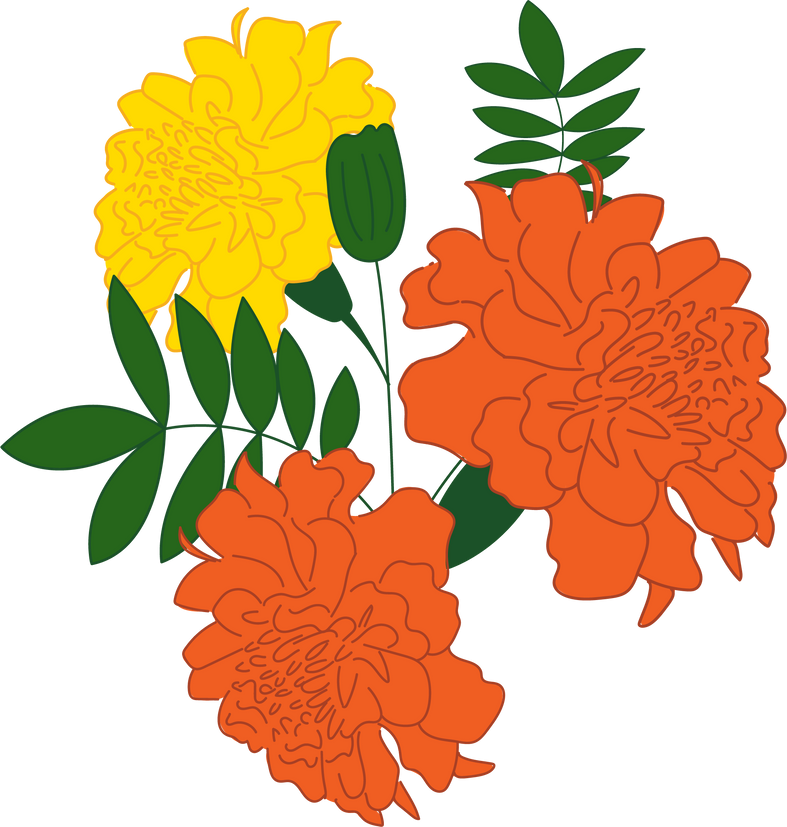Traditional Indian Marigold Flowers with Leaf