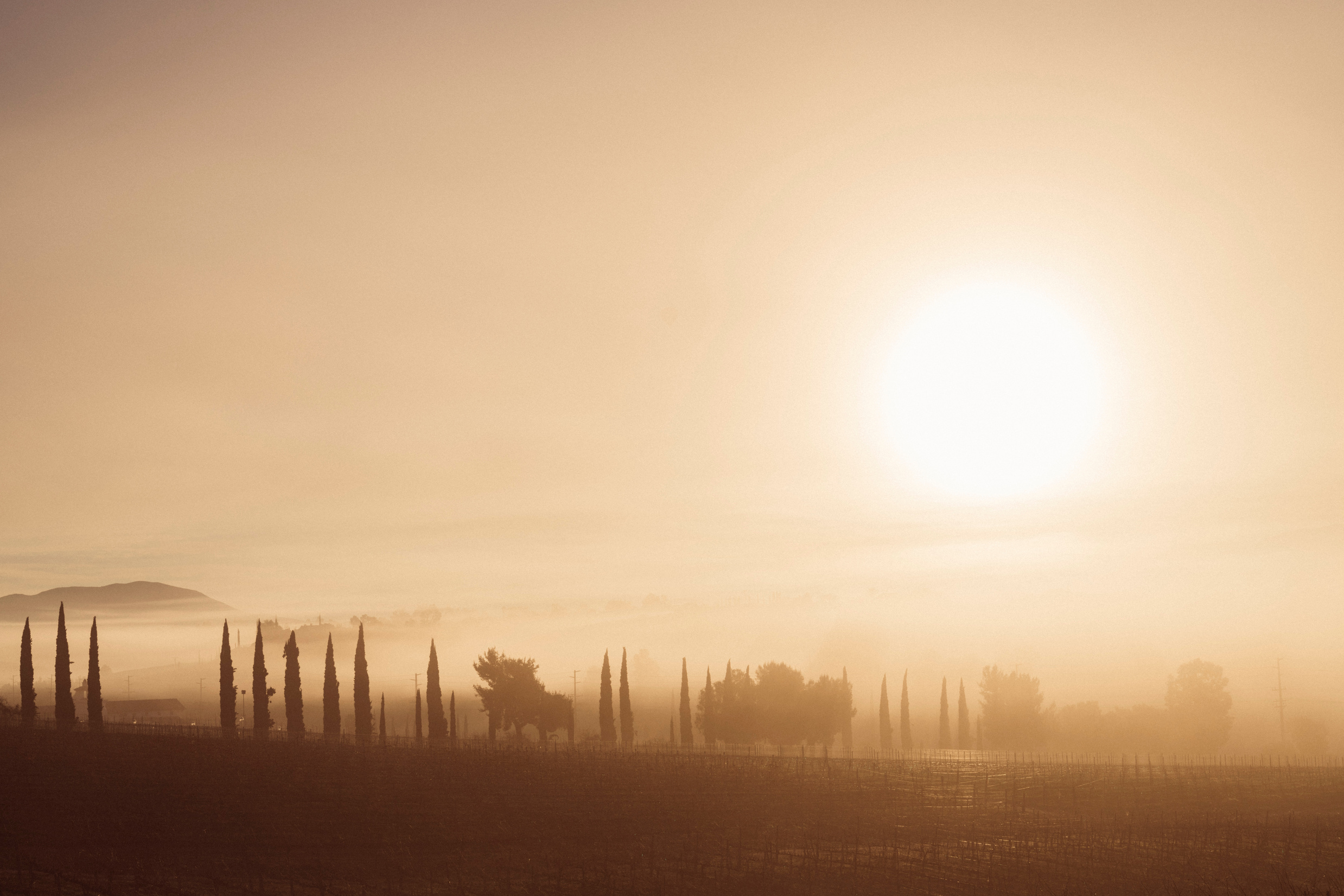 Foggy sunrise, Temecula, California.